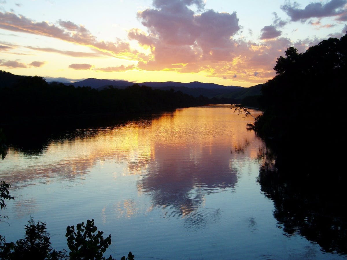 Daintree River - Tony's Tropical Tours