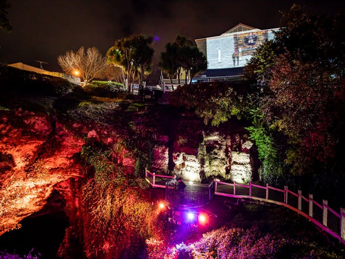Illuminate Adelaide in Mount Gambier Digital Garden