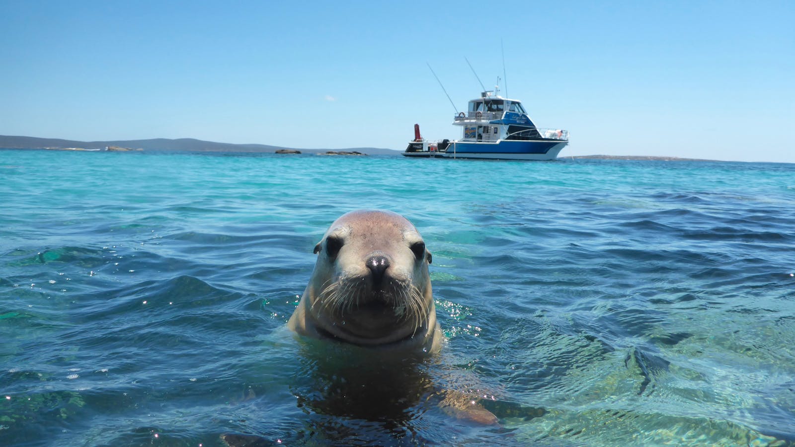 Calypso Star Charters