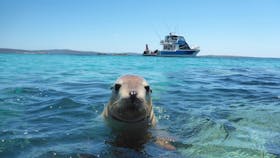 Calypso Star Charters