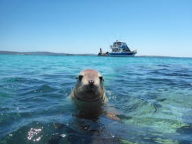 Calypso Star Charters