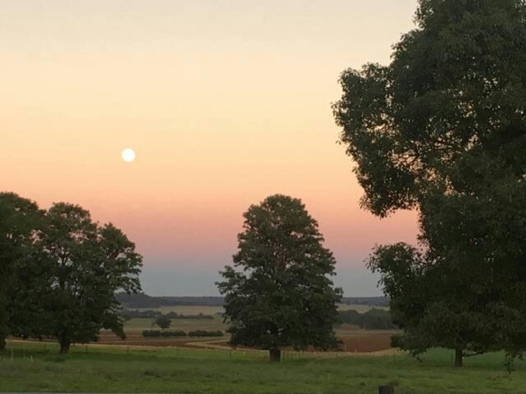 Dunedoo Shearer's Huts