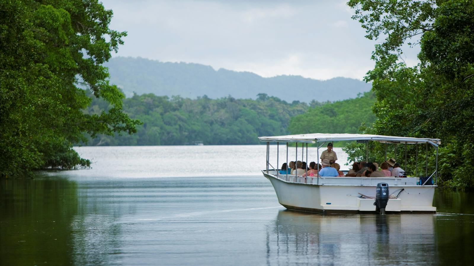Daintree River Cruise