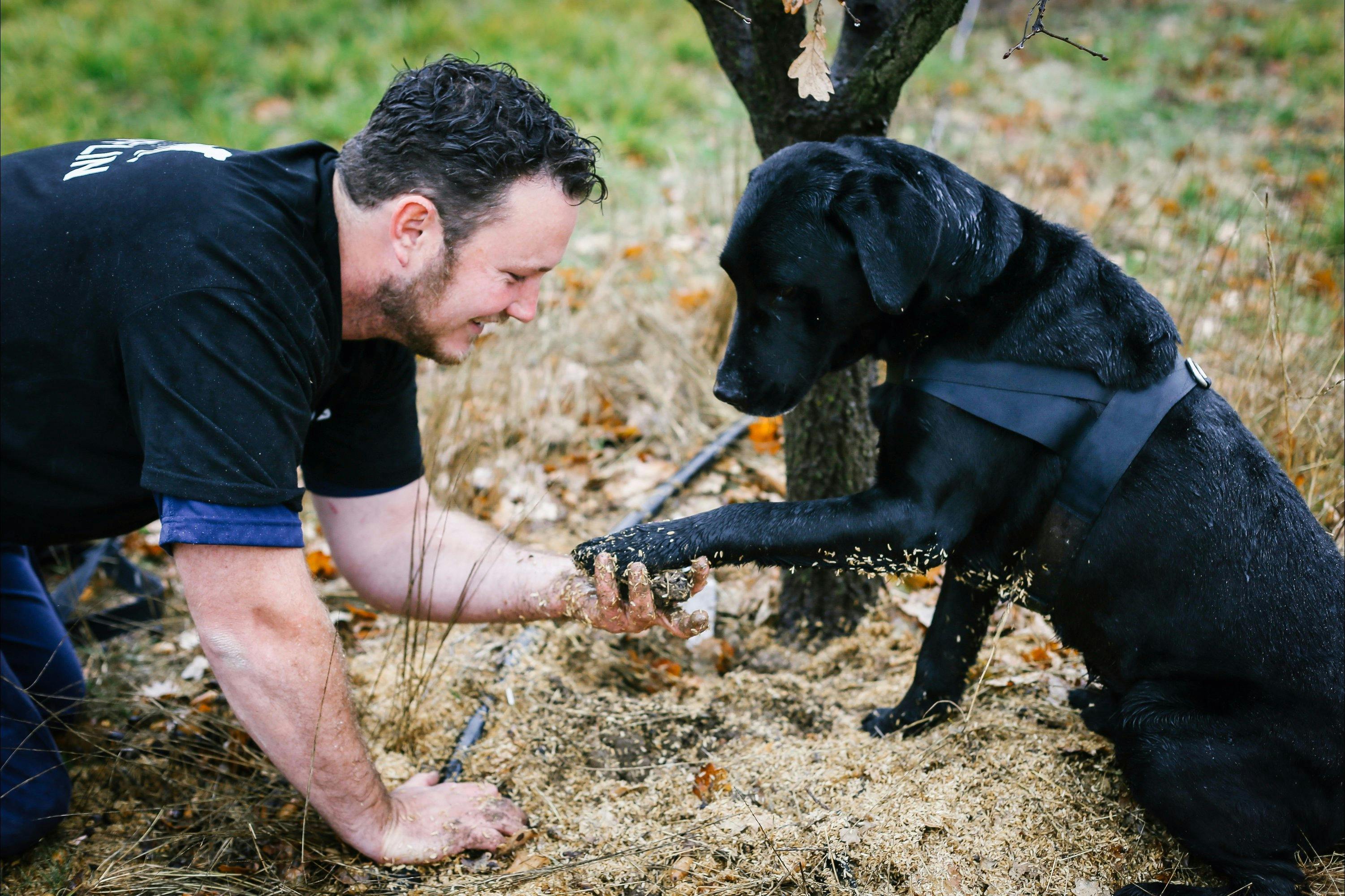 Dog and farmer with the truffle