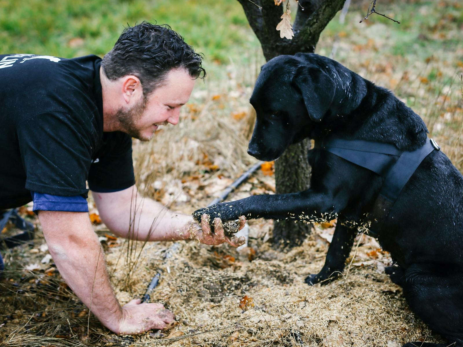 Dog and farmer with the truffle