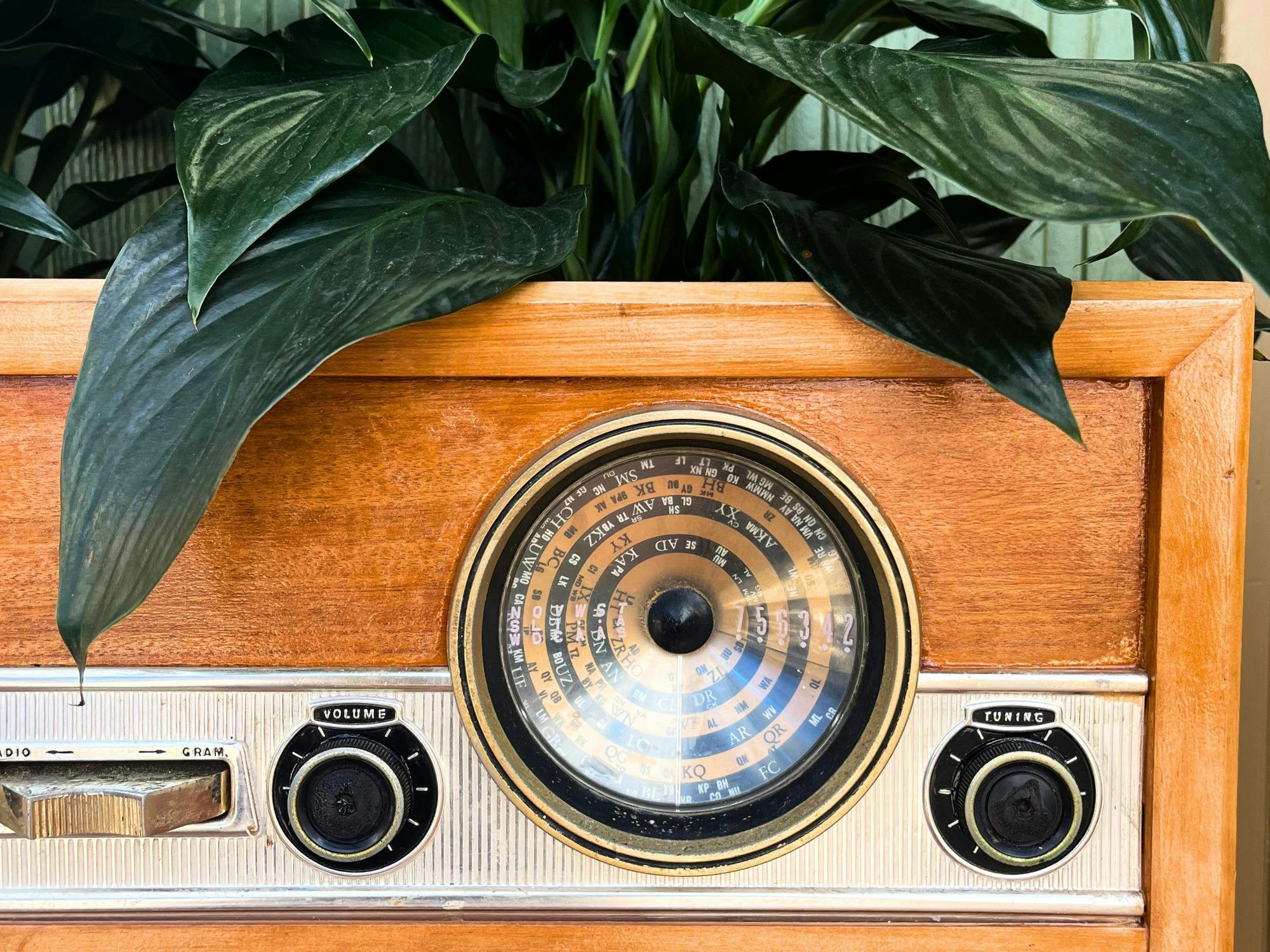 Mid-century treasures and nostalgic vintage finds.