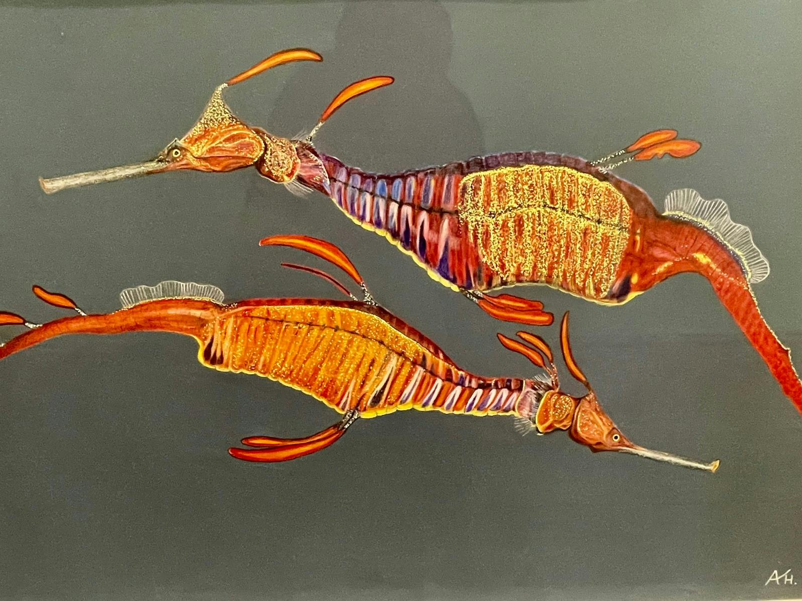 Art Exhibition by Tasmanian Artist featuring birds and sealife