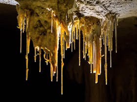 Master low-light photography while exploring spectacular underground formations.