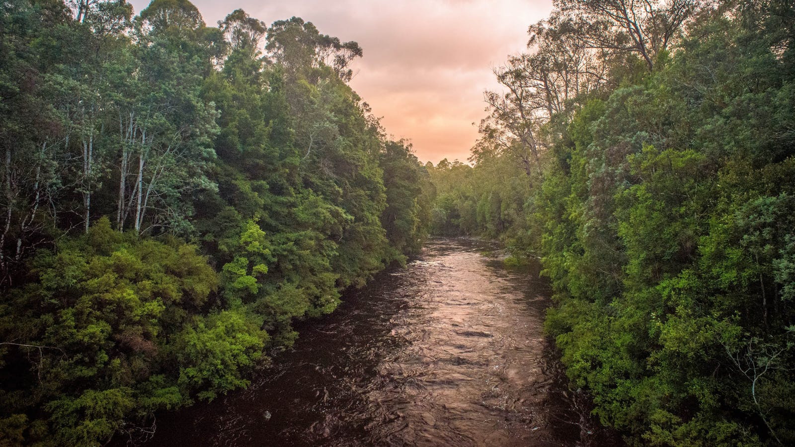 Franklin River