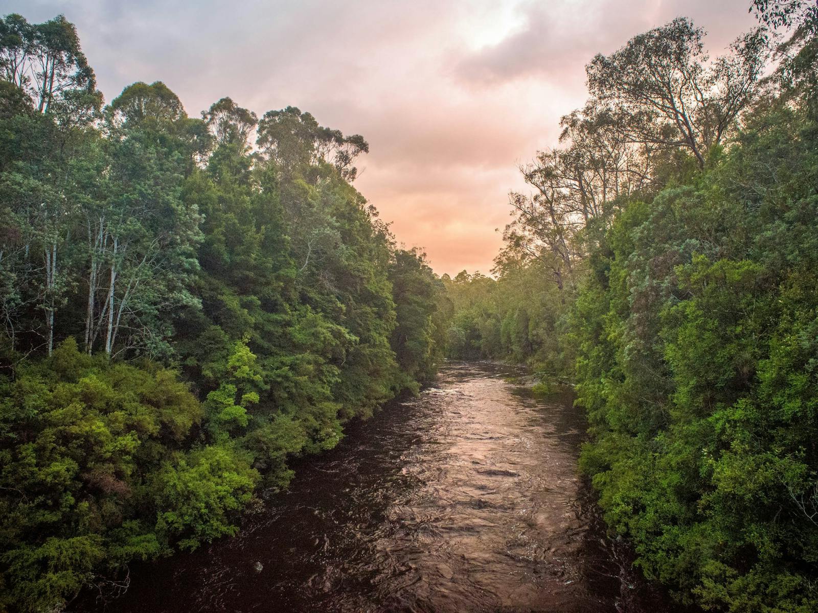 Franklin River