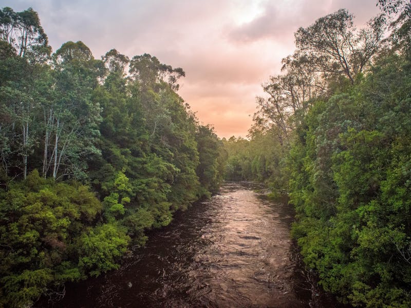 Franklin River