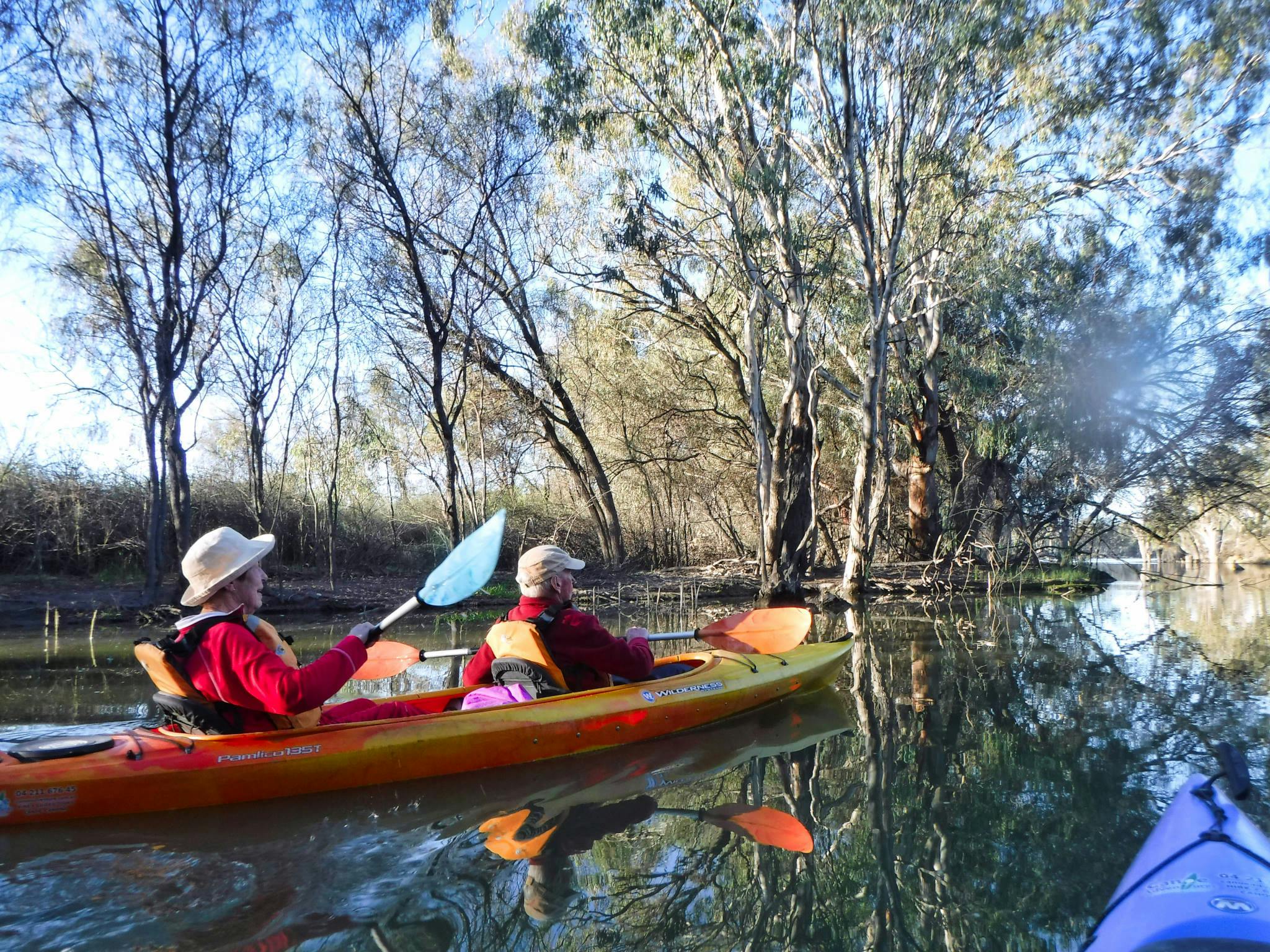 Older couple in double kayak paddle pastredgum tree -lined creek band