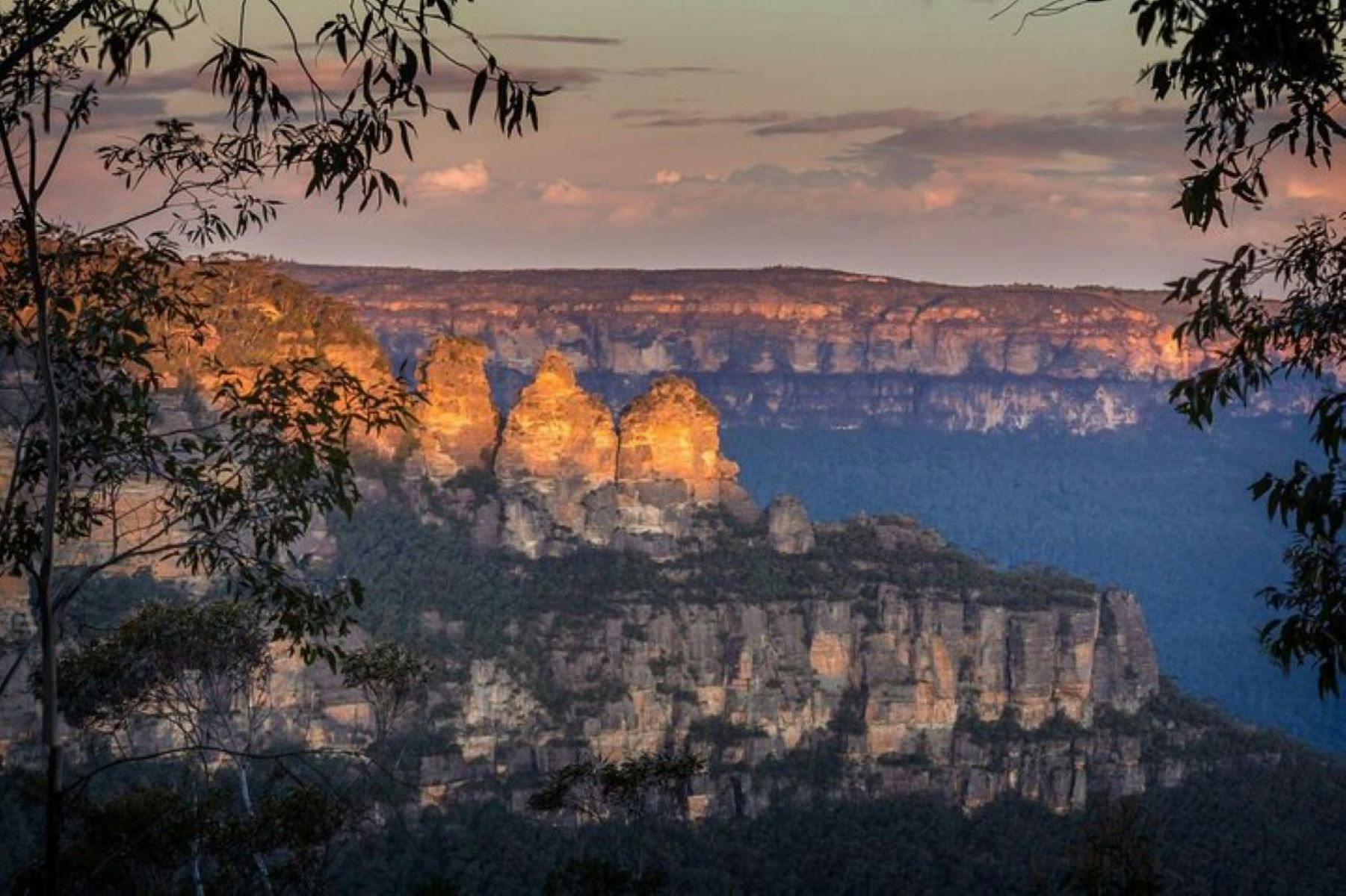 Private Blue Mountains & Kangaroo/Koala Experience