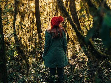 Winter at O'Reilly's Winter at O'Reilly's