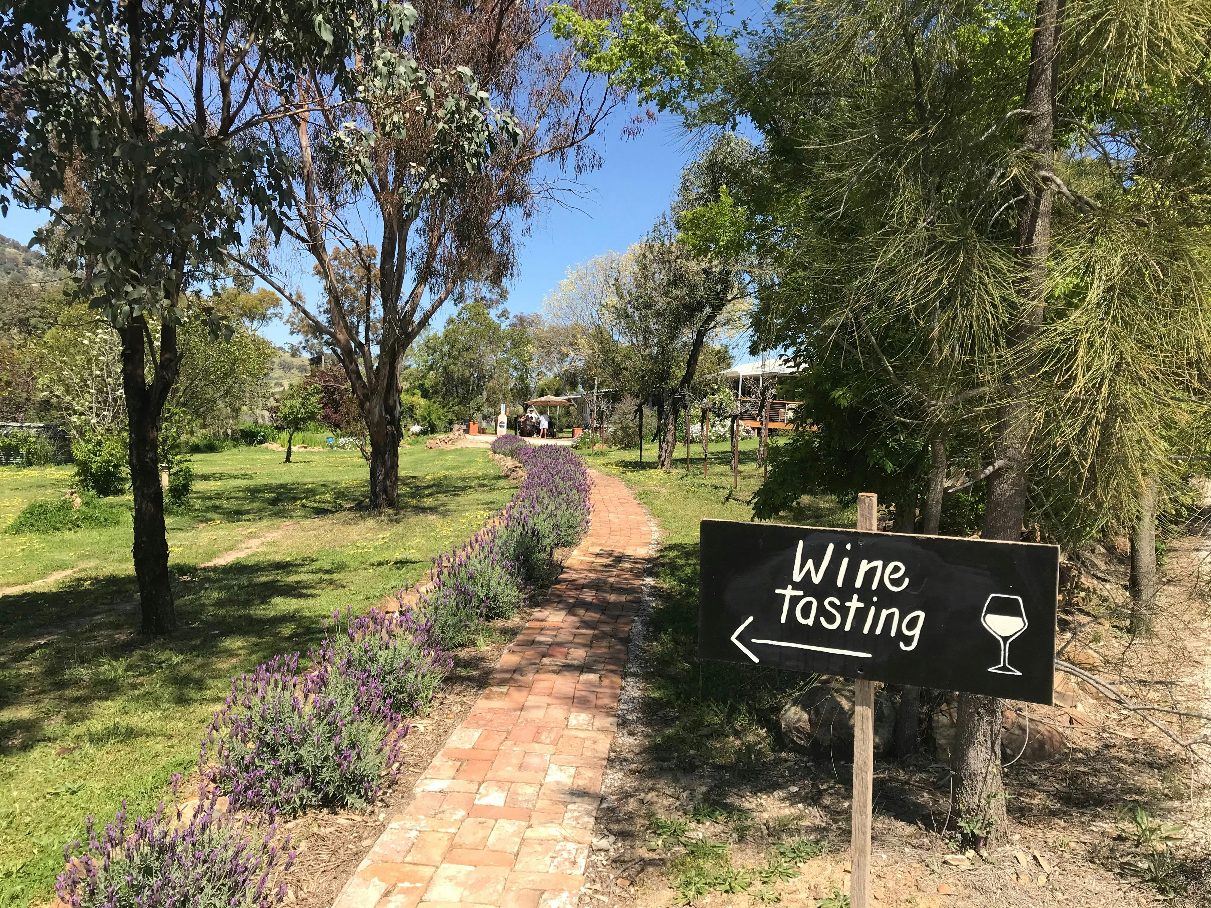 Wine Tasting