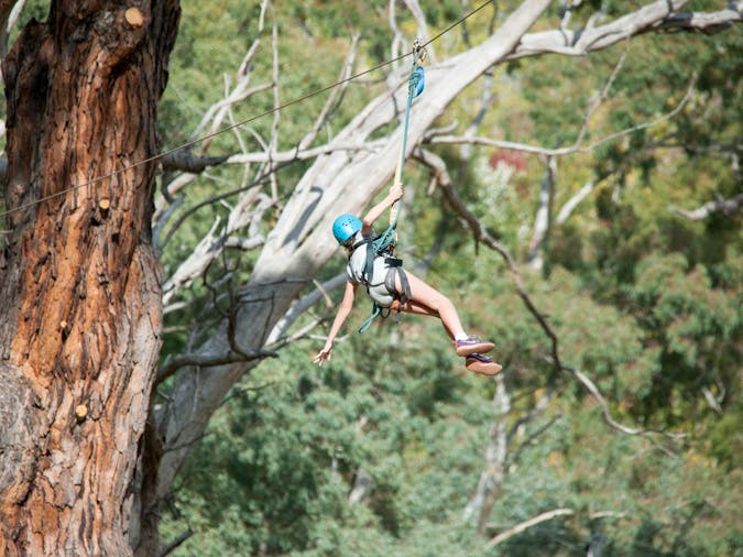 Go Wild Mount Lofty Adventure Hub
