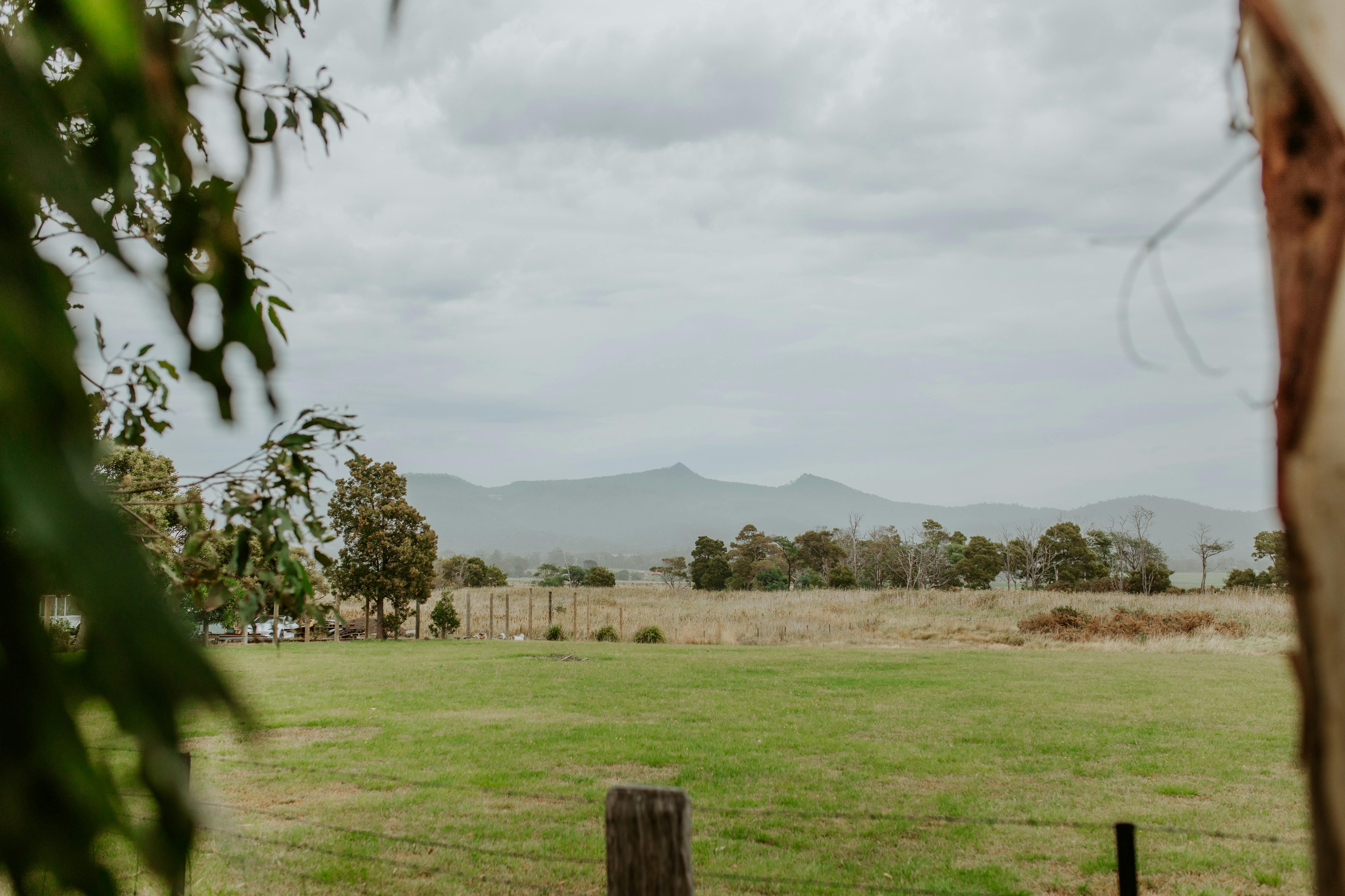 view from the back fence at Singline Cottage towards The Sisters mountains
