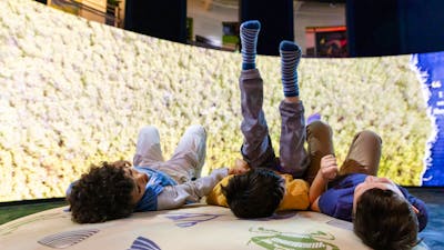 Children enjoying the Mangroves - Tales from the Tide exhibition at Questacon