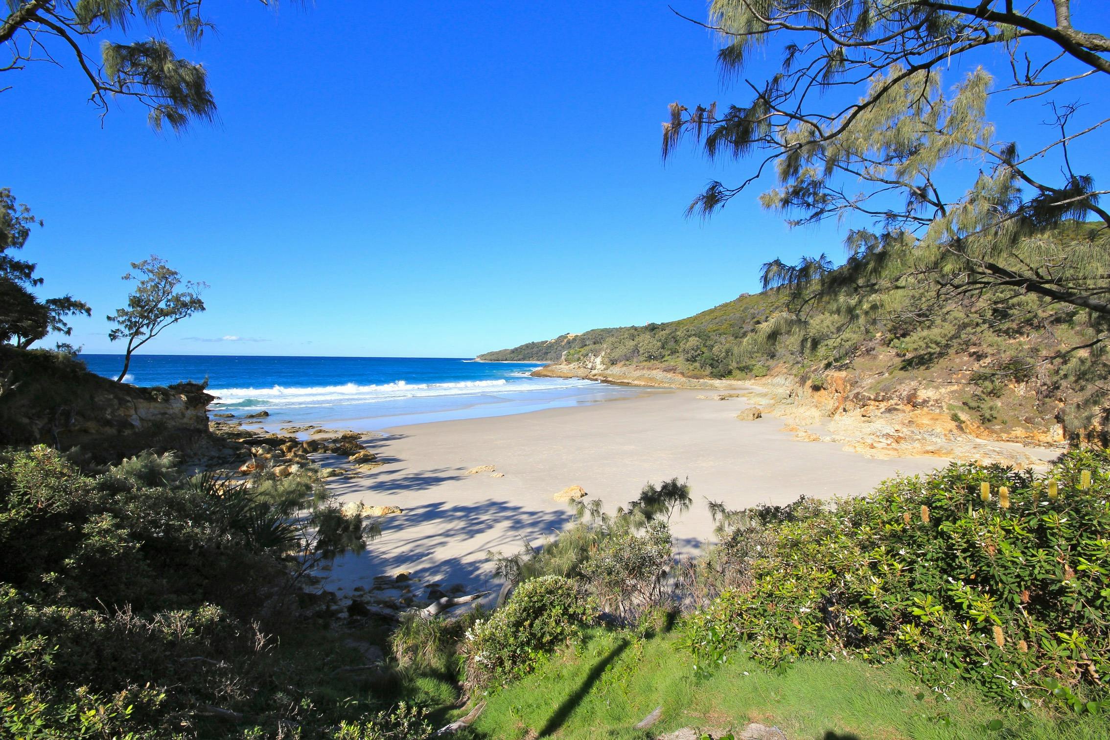 Tangalooma Northern Safari Tour