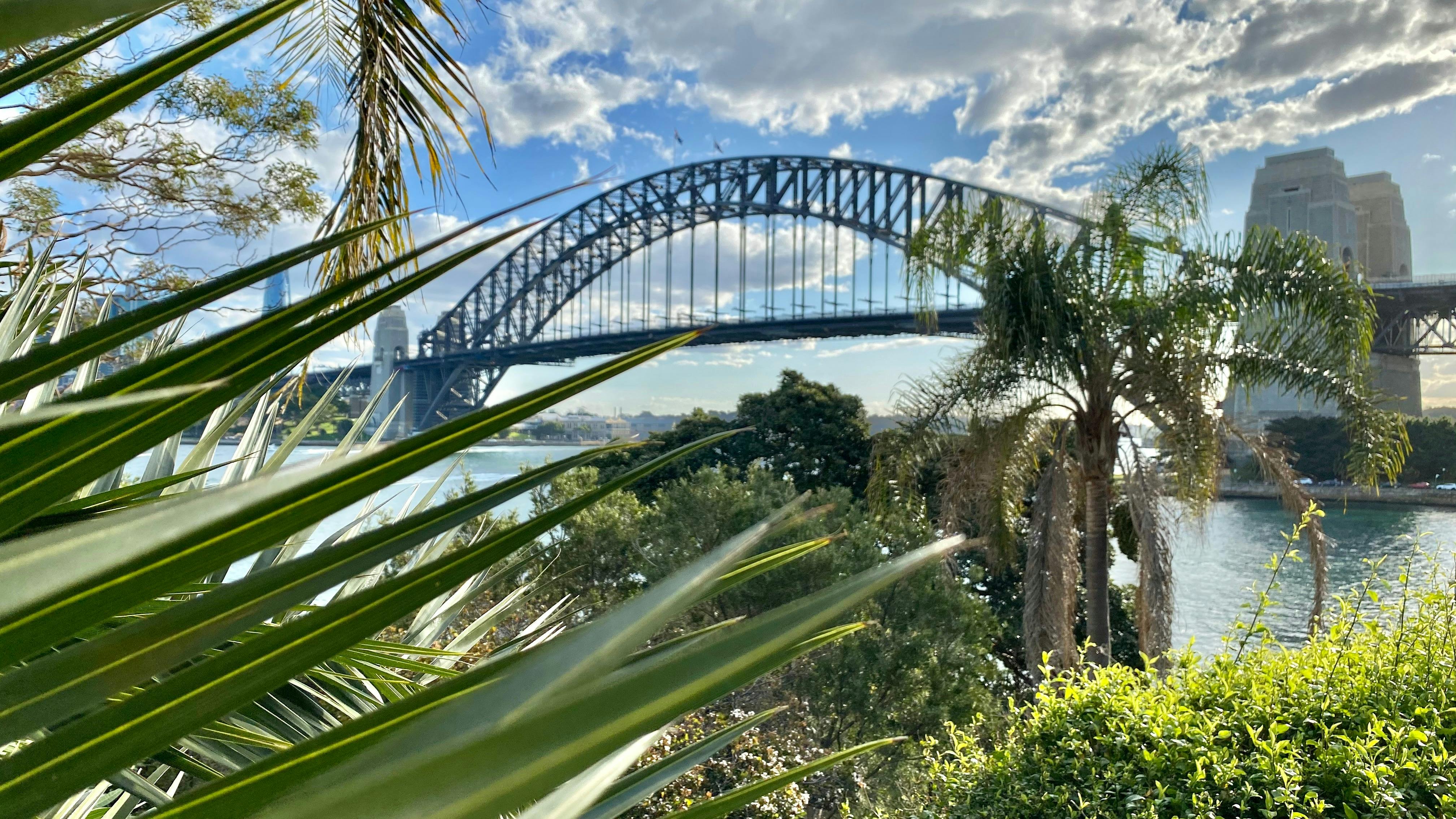Sydney Harbour Bridge, Sydney Highlights and Beach – Luxury Private Sightseeing Tour in Sydney