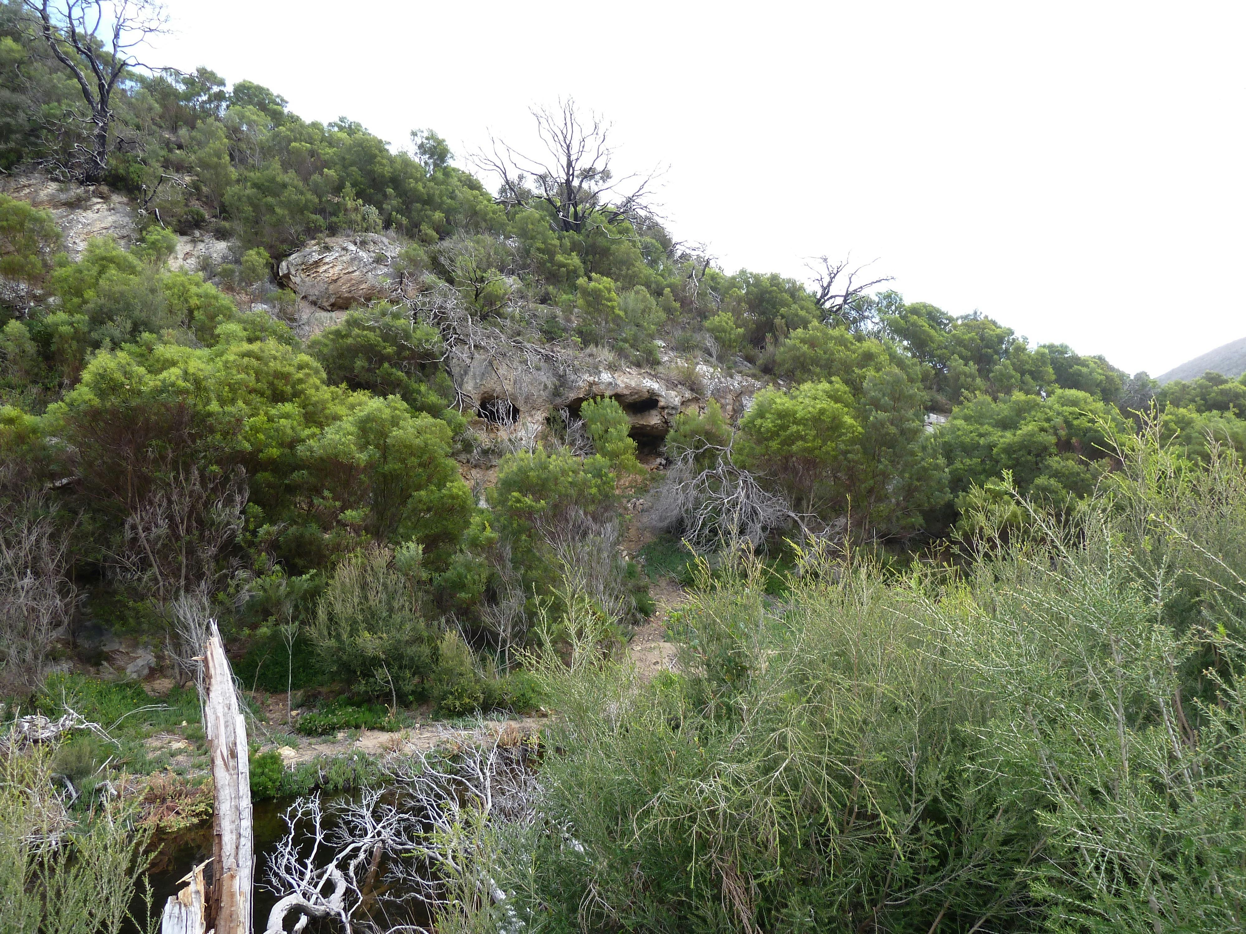 Ravine Hike