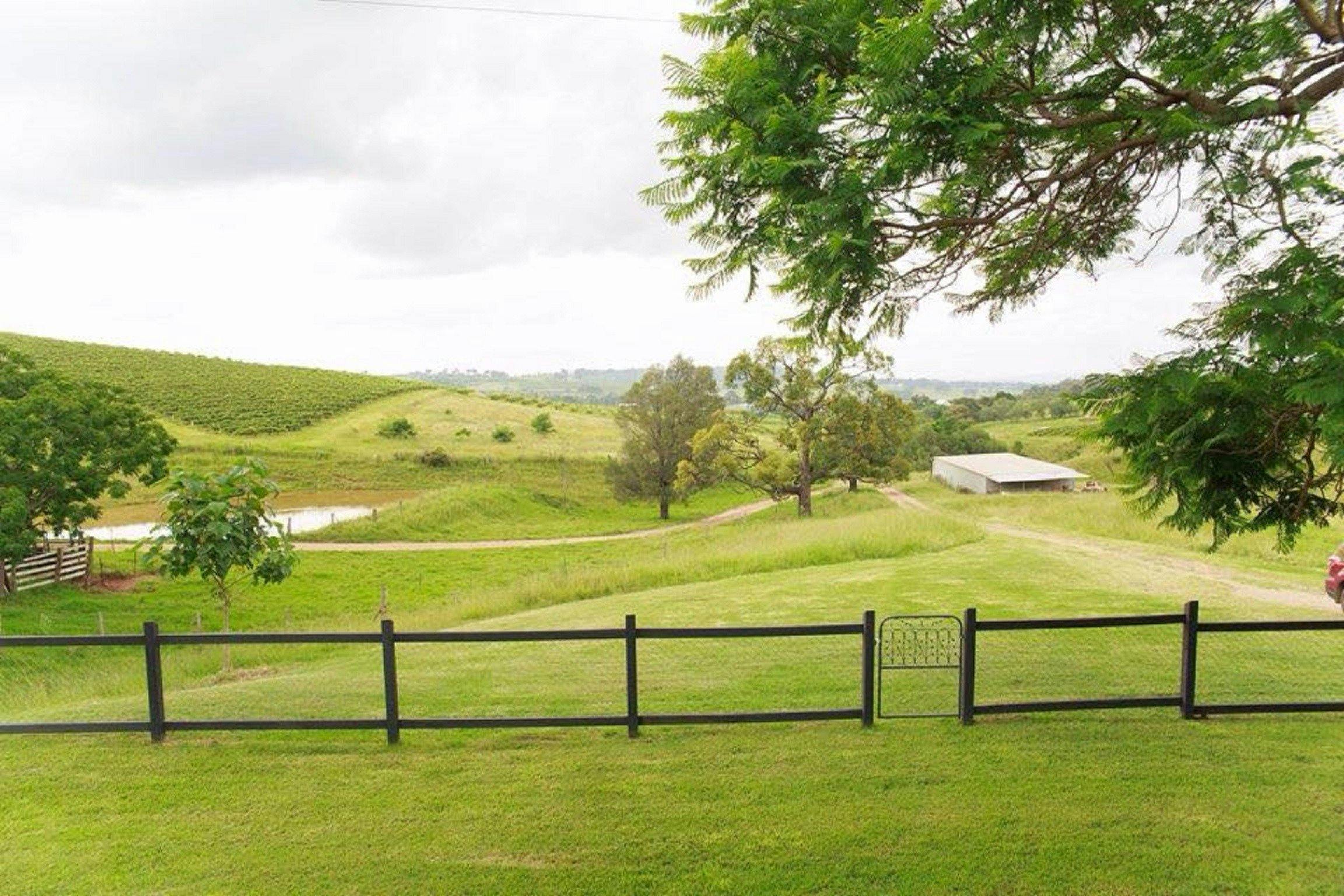 Their beautiful views