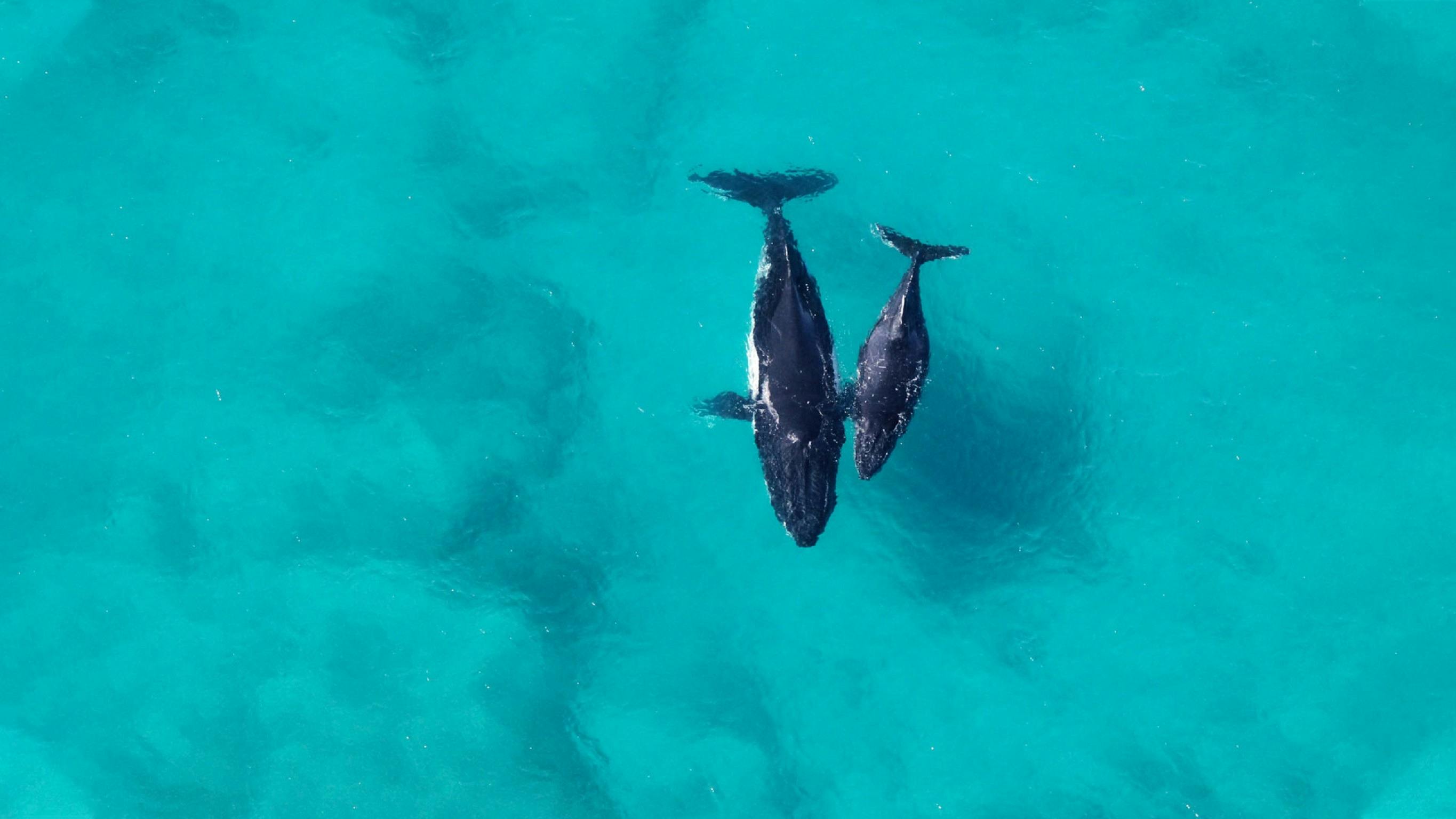 Birds Eye View, Exmouth, Western Australia