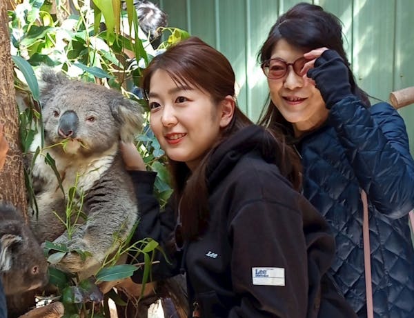 Fauna Australia Koala Experience