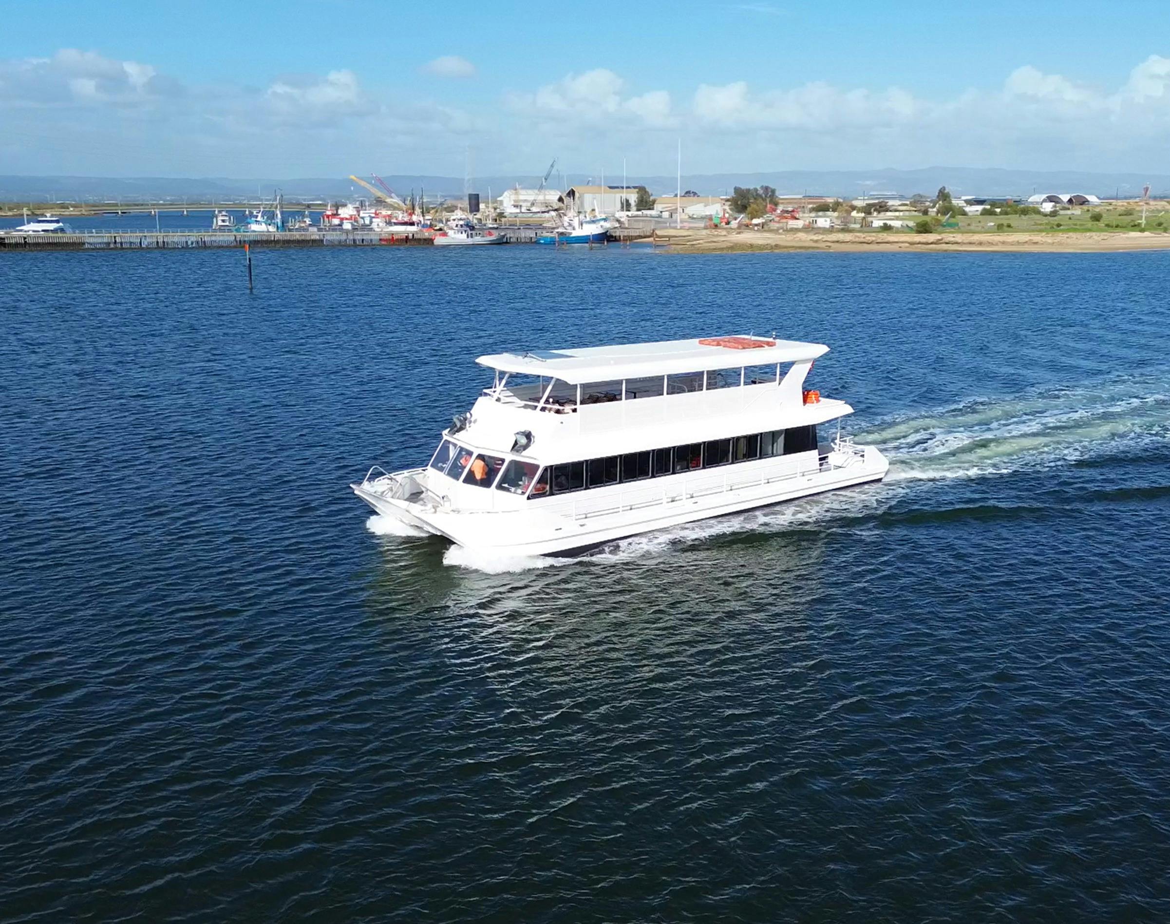 2-Hour Dolphin and Maritime Cruise
