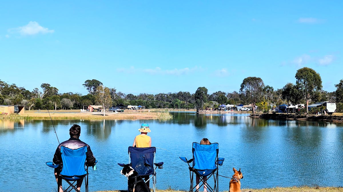 pet friendly caravan park