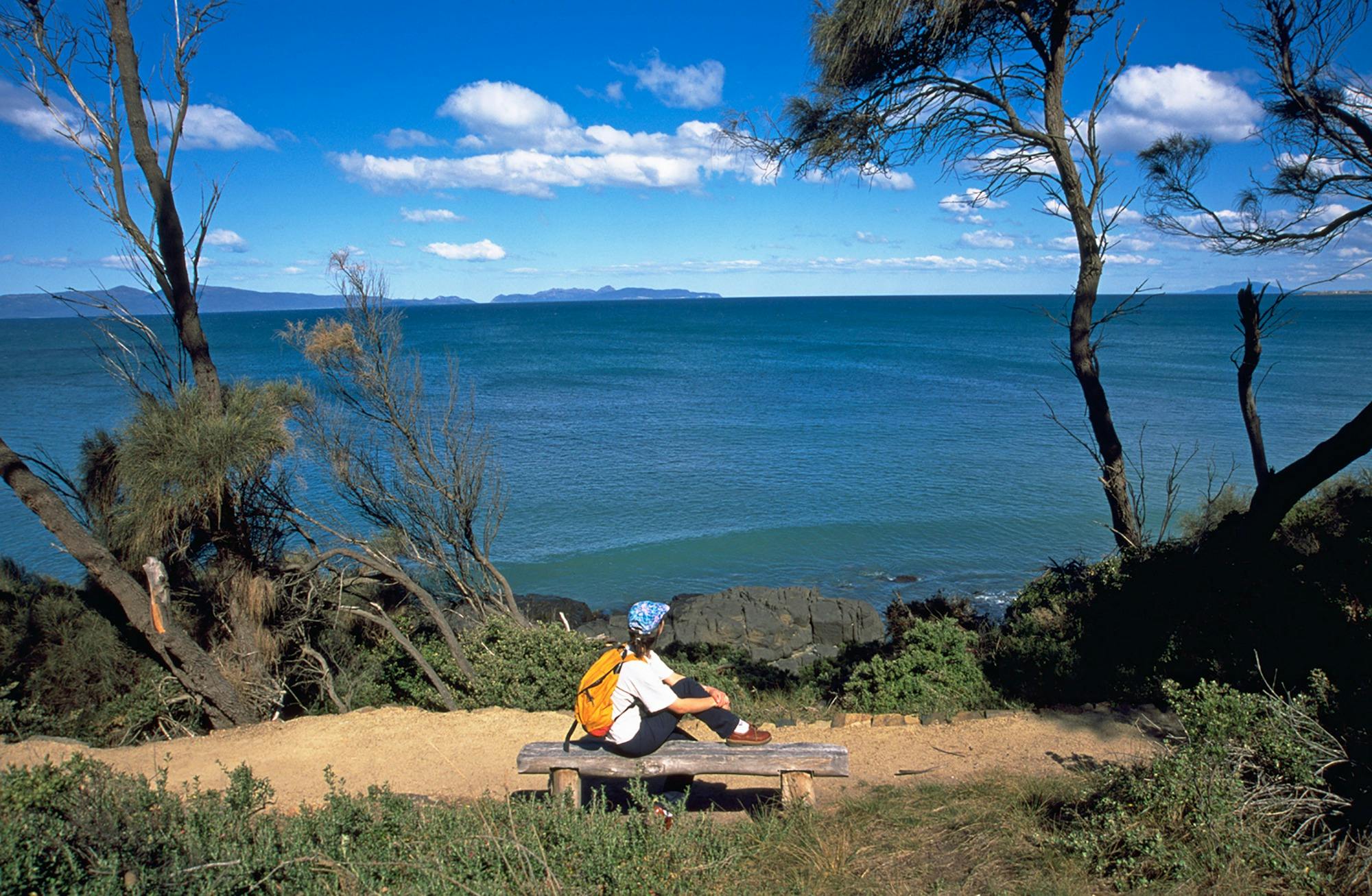 loontitetermairrelehoiner walk