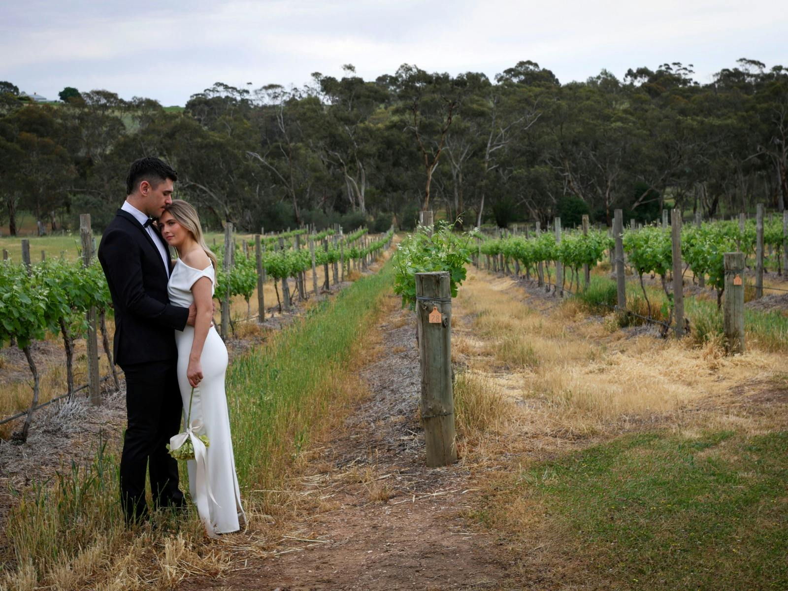 Millon Estate - Clare Valley