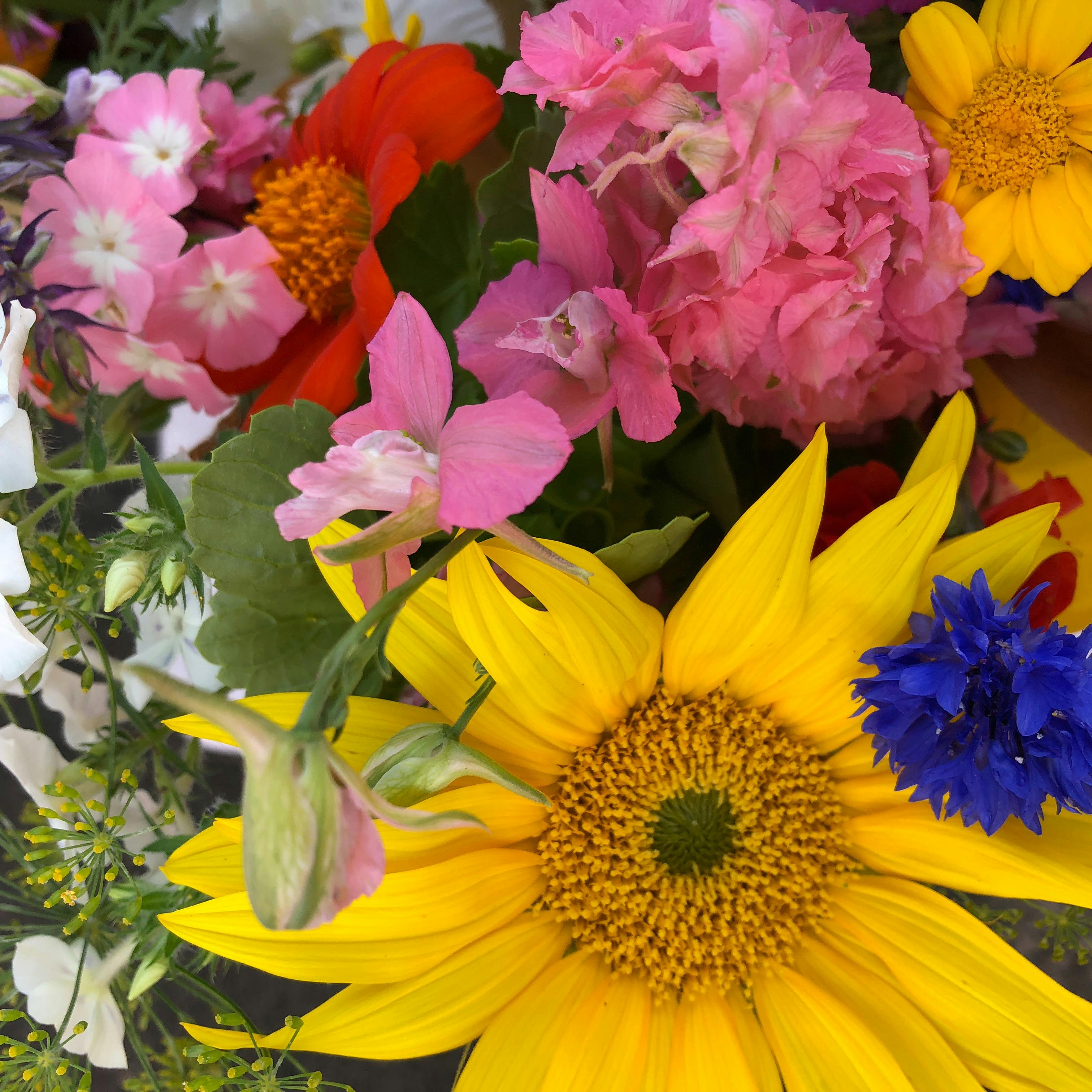 Micros Greens and Flower Petals