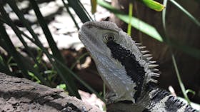 Walkabout Wildlife Sanctuary