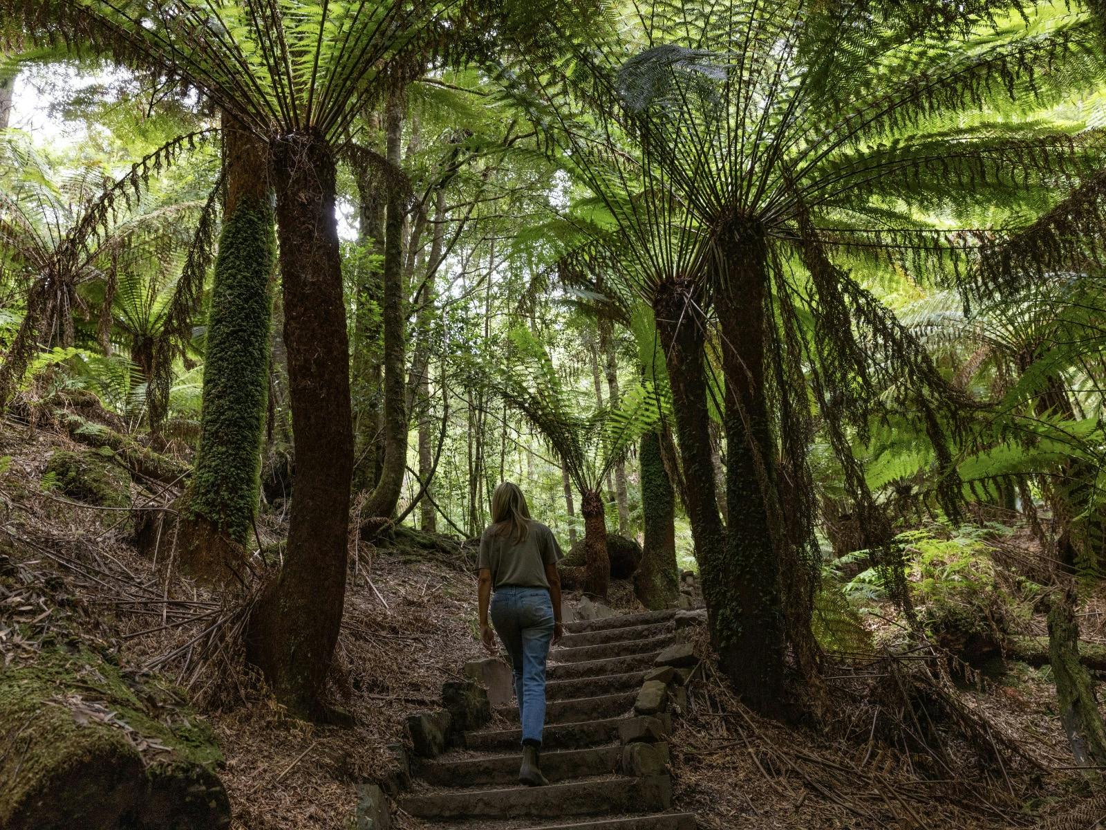 Trowutta Arch Rain Forest Walk