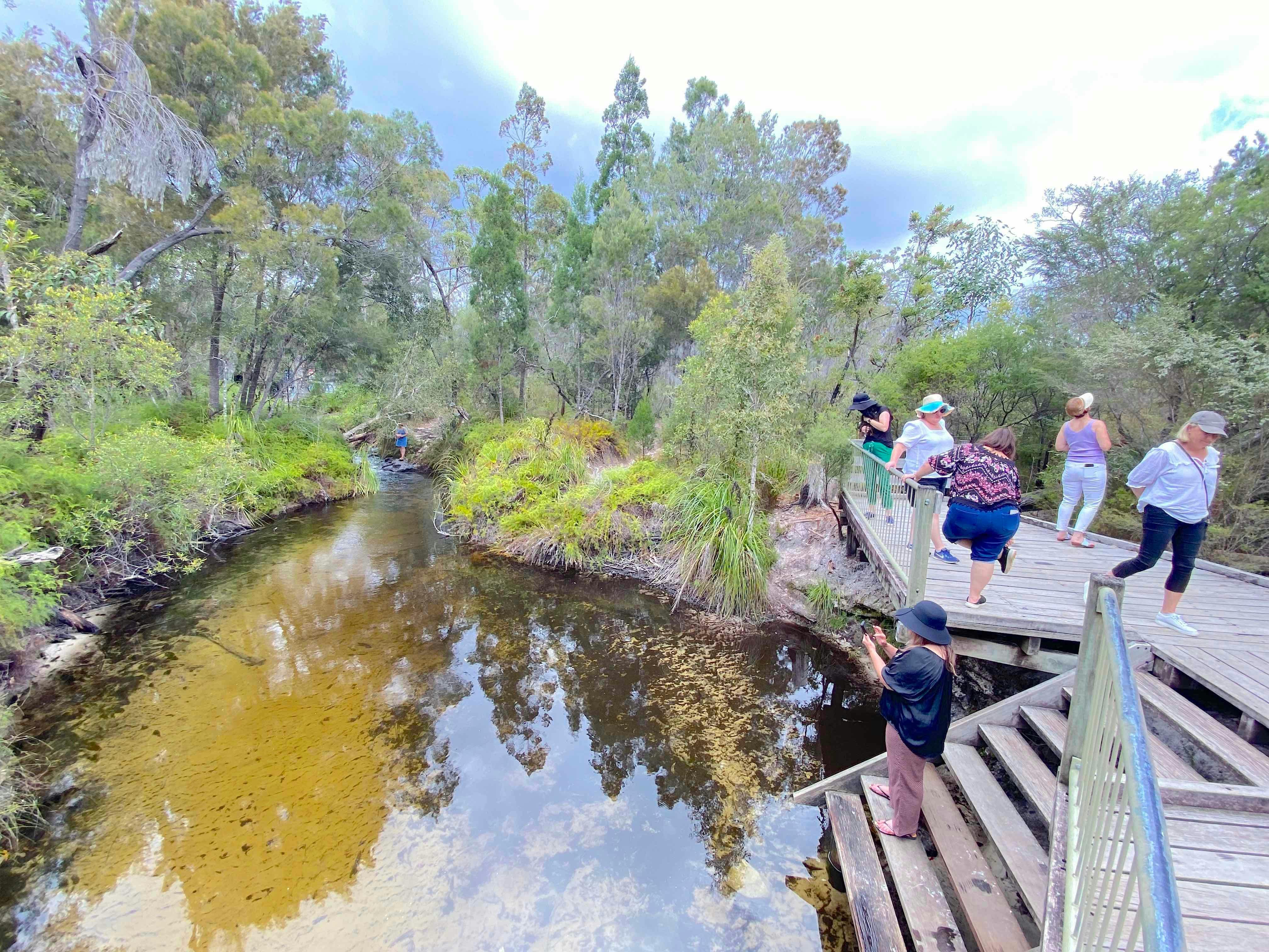 Joel's Journeys - Rainbow Beach Tour