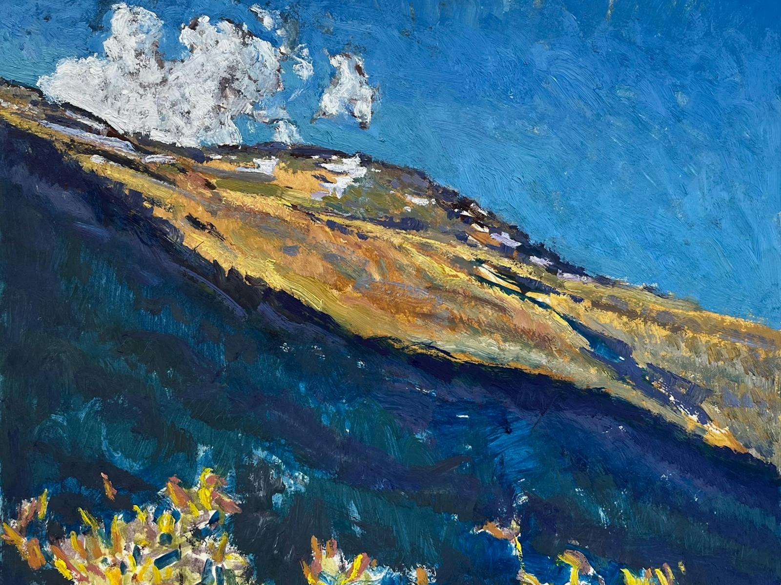 Mt Kosciusko
