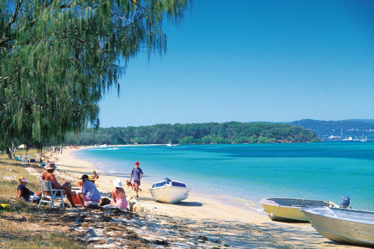Faily sits in shad eoni beach near blue water and forested headland in distance..