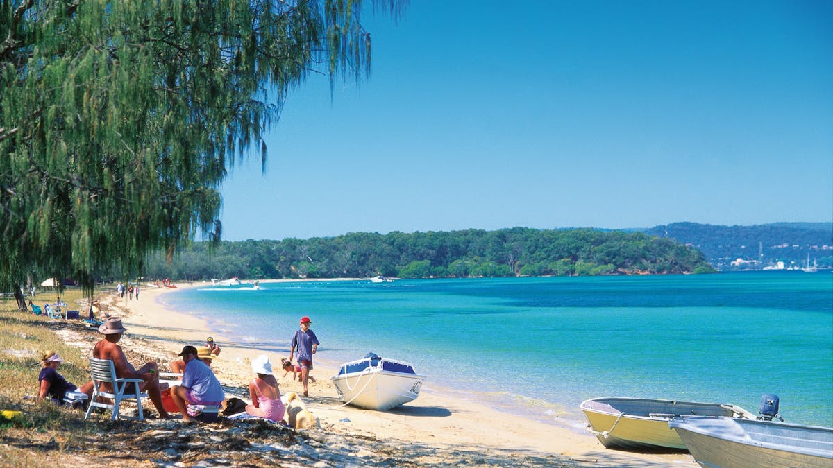 Faily sits in shad eoni beach near blue water and forested headland in distance..