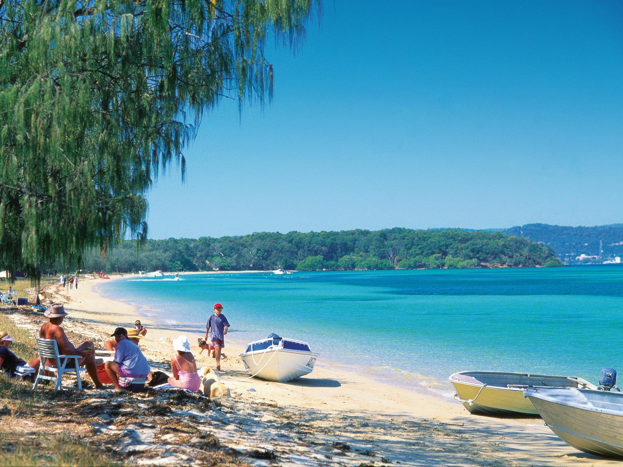 Faily sits in shad eoni beach near blue water and forested headland in distance.. Faily sits in shad eoni beach near blue water and forested headland in distance..