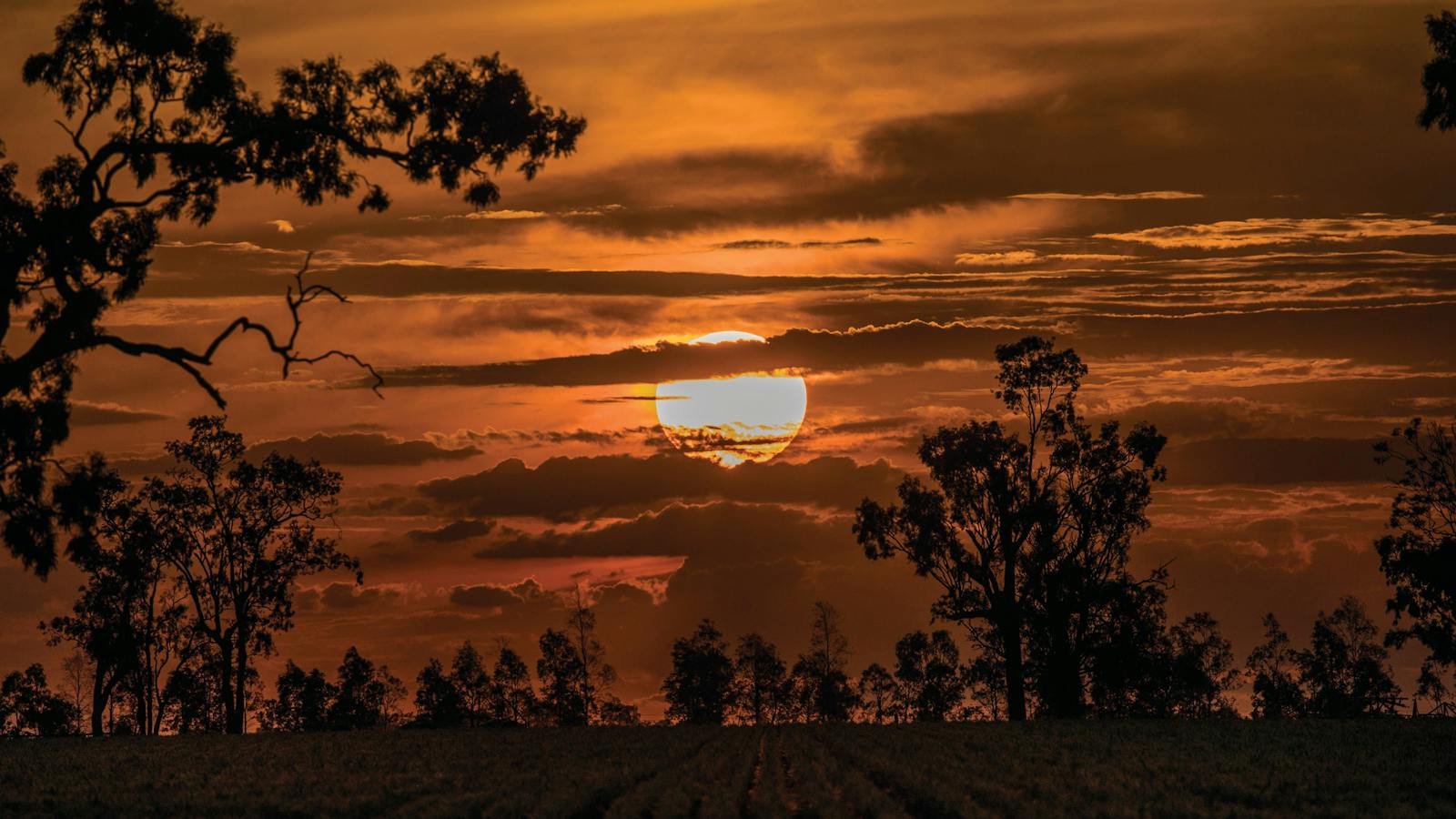 Sunset at Windorah