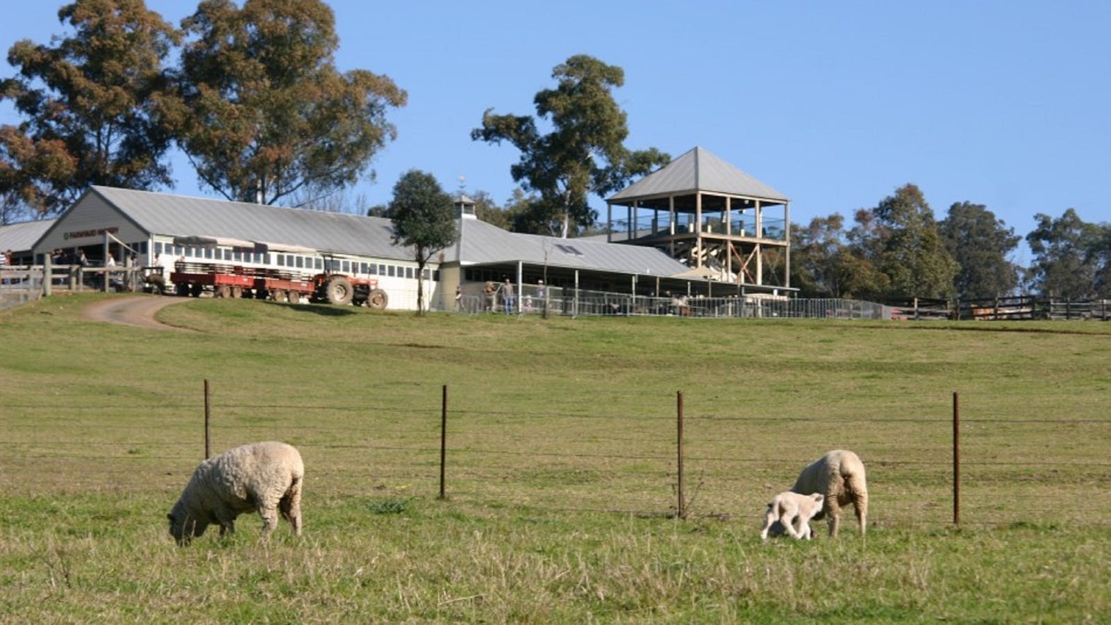 Calmsley Hill City Farm