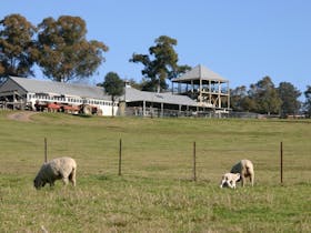 Calmsley Hill City Farm