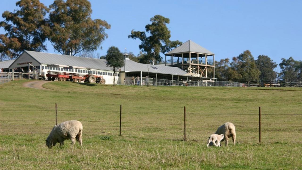 Calmsley Hill City Farm