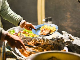 Camel Treks Australia Outback Safaris