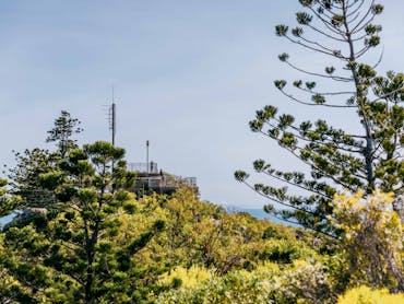 Lookouts on the top of concrete signal station shown in distance over the top of trees.