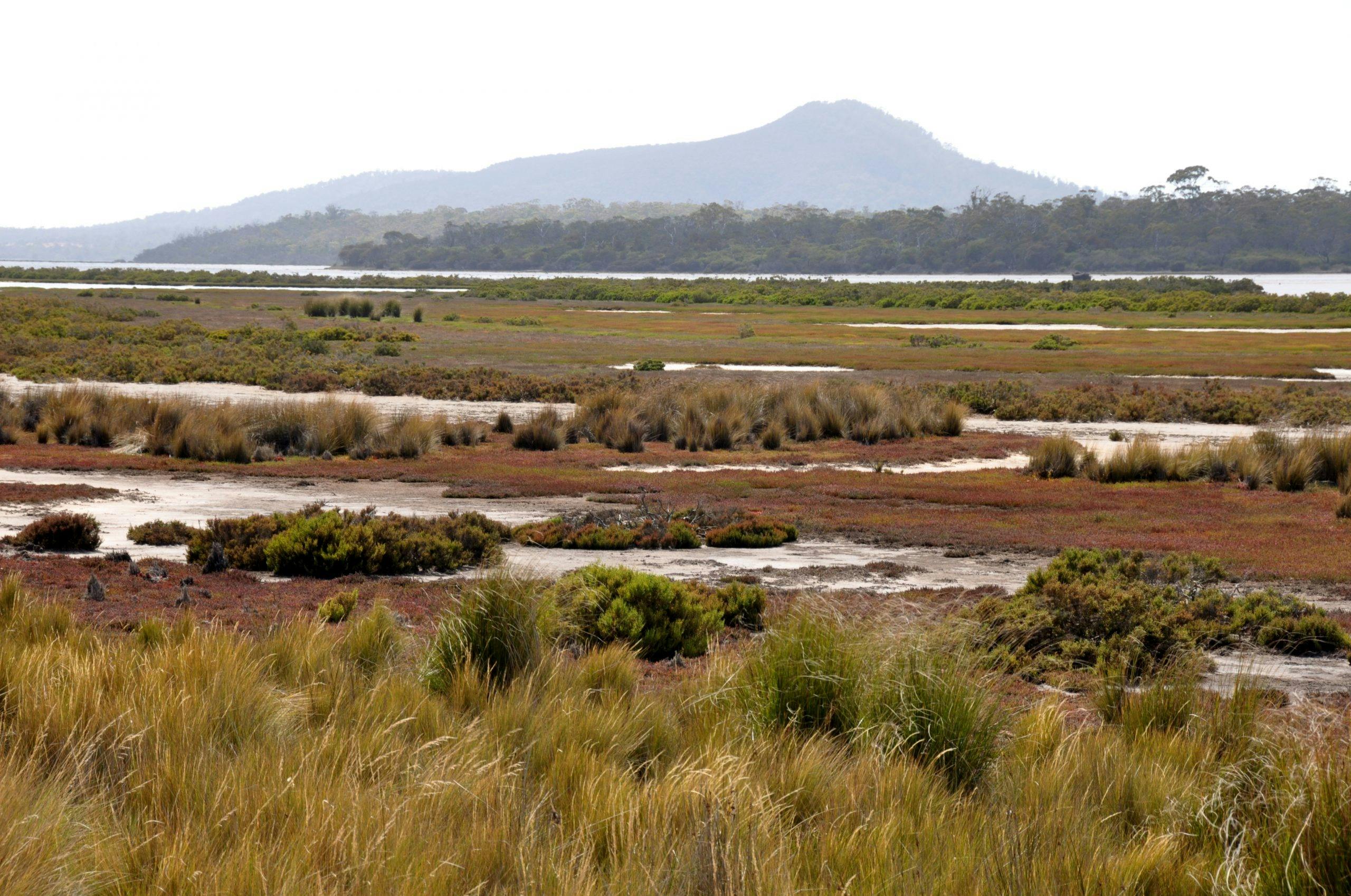 Moulting Lagoon