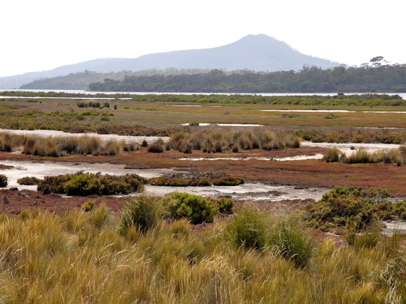 Moulting Lagoon
