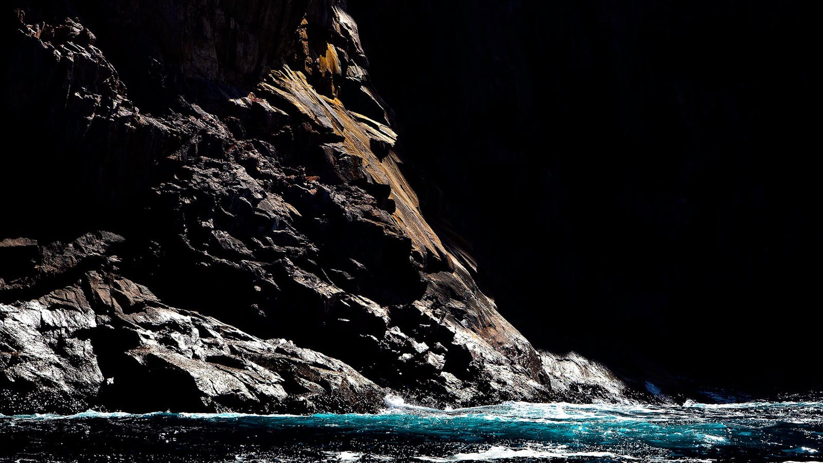 'Source' Limited Edition Fine Art Photograph by Emma Coombes, The Elm & the Raven