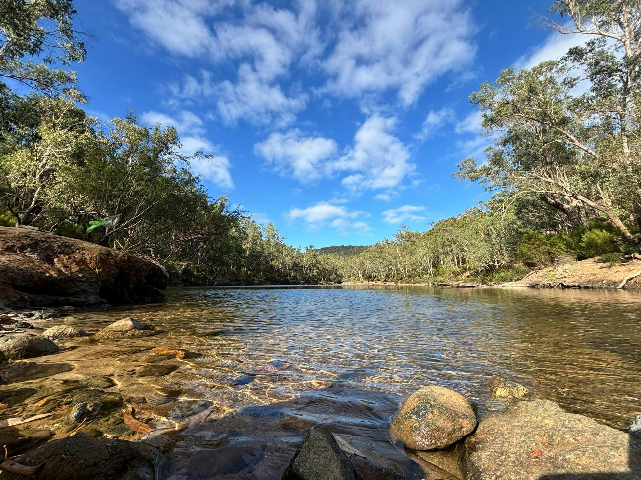 Island Pool, Lane Poole Reserve
